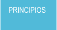 PRINCIPIOS